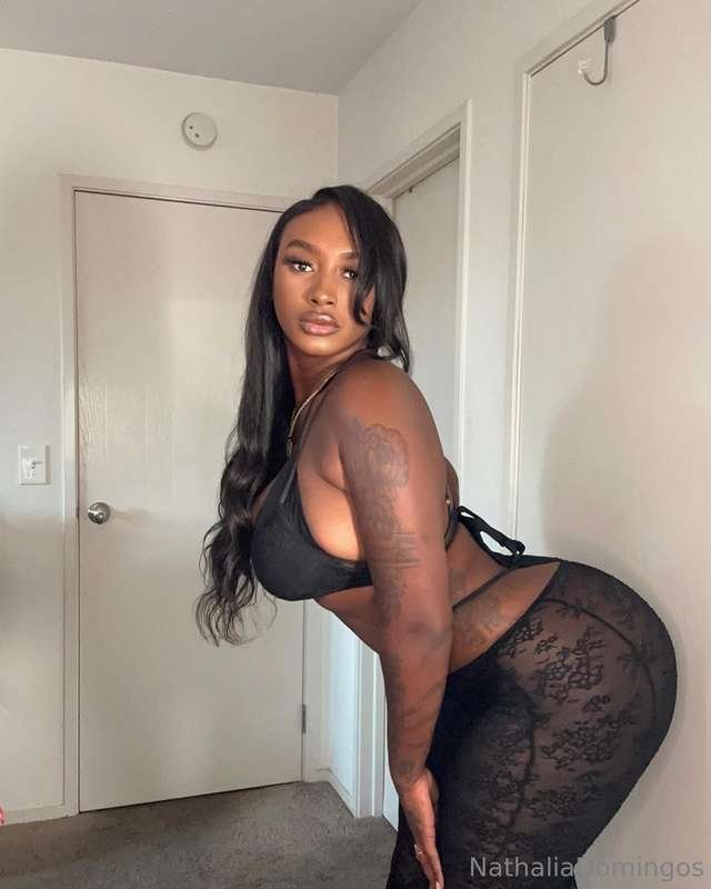 Chocolate Stallion  🇱🇨 🇦🇬 #pt9V9LUQ