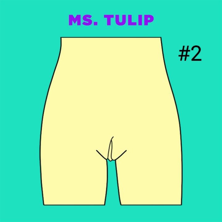 Apparently, their are 5 types of vulva... Which one are you? 🥑 #mar6Hfuk